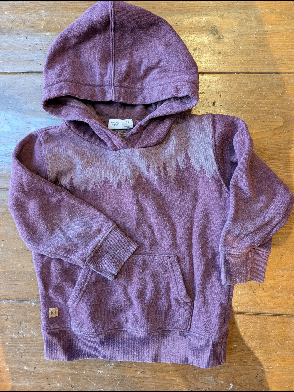 tentree Plum Kids Hoodie with Forest Silhouette
